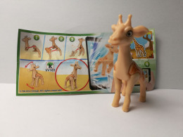 Kinder : MPG VV165   Moving Animals 3 2020 - Giraffe + BPZ - Inzetting