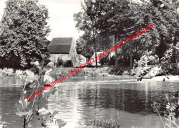 Zicht Op Nete En Watermolen - Grobbendonk - Grobbendonk