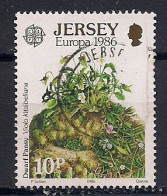 JERSEY  EUROPA      N°   372  OBLITERE - Jersey