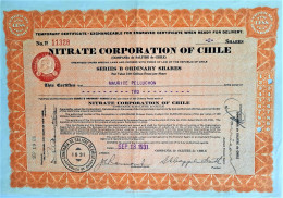 Nitrate Corporation Of Chile -1931 - Mineral
