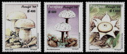 (102) Paraguay  Flora / Plants / Mushrooms / Champignons / Pilze ** / Mnh  Michel 4768-70 - Paraguay