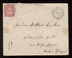 Switzerland 1881 Niederweningen Letter To Diessenhofen__(8409) - Storia Postale