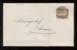 Switzerland 1880 Geneve Letter To Luzern__(8406) - Lettres & Documents