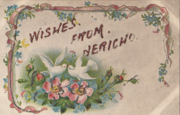 CI90.Vintage Glittered Greetings Postcard.Wishes From Jericho.Dog Roses And Doves - Souvenir De...