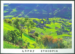 Ethiopia Africa Afrique - Etiopia