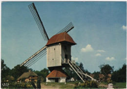 Mol-Millegem - Bokrijk - Standerdmolen - & Windmill - Genk