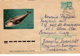 RUSSIA [USSR]: 1974 WHALE Used Postal Stationery Cover - Registered Shipping! - 1970-79