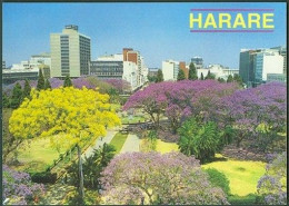 Zimbabwe Harare Africa Afrique - Simbabwe