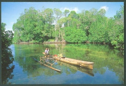 Federated States Of Micronesia KOSRAE Caroline Islands US Pacific Oceania - Micronésie