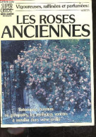 Les Roses Anciennes - Vigoureuses, Raffinees Et Parfumees - Botaniques, Buissons Ou Grimpants, Les Meilleures Varietes A - Natur