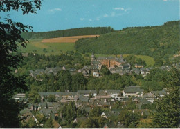 108346 - Bad Berleburg - Blick Auf Das Schloss - Bad Berleburg
