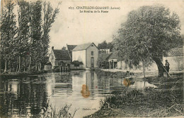 45* CHATILLON COLIGNY  Moulin De La Fosse        RL24,0830 - Chatillon Coligny