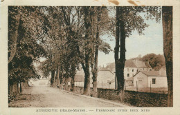 52* AUBERIVE   Promenade    RL24,2042 - Auberive