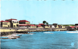 Algérie  - Mostaganem   : La Salamandre  Le Boulevard Du Bord De Mer  Et Les Villas - Mostaganem