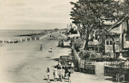 44* THARON PLAGE  Vue Sur Le Remblai  (CPSM 9x14cm)    RL41,0192 - Tharon-Plage