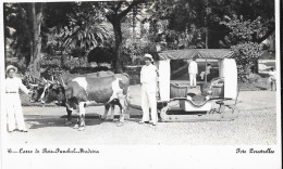 Carro De Bois-Funchal-Madeira - Madeira