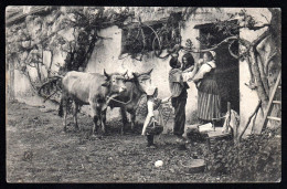 LA VIE AUX CHAMPS - Le Retour Du Père 1908 - Fermes