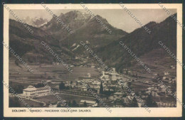 Trento Fiera Di Primiero Cartolina ZB1164 - Trento