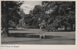 76815 - Bad Driburg - Im Kurpark - Ca. 1960 - Bad Driburg