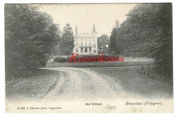 Brasschaat - Brasschaet - Kasteel Chateau Het Withof - 1904 Polygone Maria Ter Heide Hoelen Cappellen Nr 330 - Brasschaat