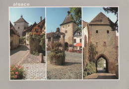 104293 - Frankreich - Turckheim - Poret De France - 1993 - Turckheim