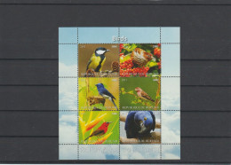 2011 Burundi Fauna Bird Full Sheet Of 6 MNH - Nuevos