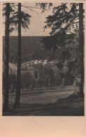 38362 - Altenbrak - Haus Bergfried - 1955 - Altenbrak