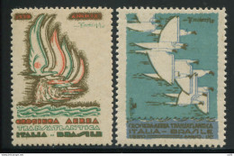 1930 Crociera Aerea Transatlantica - I Due Erinnofili Commemorativi - Balbo - Storia Postale (Posta Aerea)