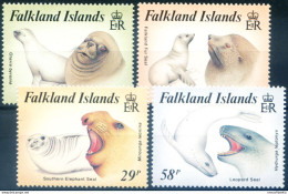 Fauna. Foche 1987. - Falklandeilanden