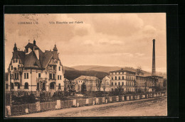 AK Liebenau I. B., Villa Blaschka Und Fabrik  - Tchéquie