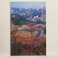 Yuexiushan Stadium, Guangzhou With Its Kapok Trees In Bloom, Stadion, Stade De Football, GUANGZHOU CHINA Postcard - Estadios