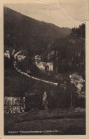 31274 - Krippen (OT Von Bad Schandau) - Liethental - Ca. 1950 - Bad Schandau