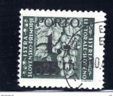 Istria Litorale Sloveno Segnatasse N. 1 Usato - Lokale/autonome Uitgaven