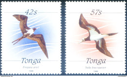 Definitiva. Fauna. Uccelli 1988. - Tonga (1970-...)