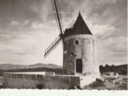 FONTVIEILLE  CPSM : Le Moulin D"Alphonse Daudet - Fontvieille