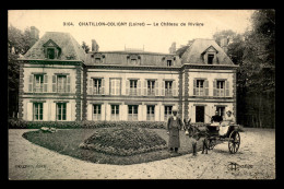 45 - CHATILLON-COLIGNY - LE CHATEAU DE RIVIERE - ANE ATTELE - Chatillon Coligny