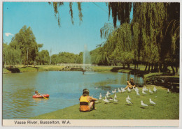 WESTERN AUSTRALIA WA Vasse River BUSSELTON Murray Views W1A Postcard 1989 Pmk 39c Stamp - Other & Unclassified