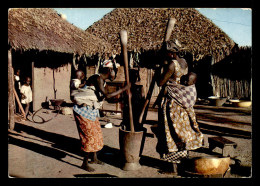 AFRIQUE NOIRE - SERIE L'AFRIQUE EN COULEURS - SCENE VILLAGEOISE - EDITEUR HOA-QUI - Unclassified