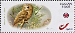 Losse MyStamps  "Bosuil" - 1985-.. Oiseaux (Buzin)