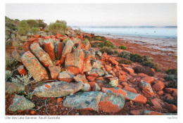 Postcard Australia South Australia Lake Gairdner - Otros & Sin Clasificación