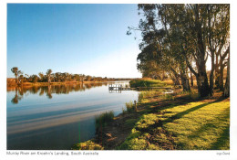 Postcard Australia South Australia Murray River Am Kroehn's Landing - Andere & Zonder Classificatie