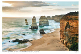 Postcard Australia Victoria Port Campbell National Park Twelve Apostles - Andere & Zonder Classificatie