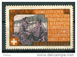 Werbemarke Cinderella Poster Stamp Schweizer Frauen Verein Zürich  #623 - Erinnophilie