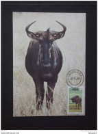 SWA Sud-Ouest Africain South West Africa Namibië 1984 MAXIMUM Carte Gnu Blue Wildebeest Yv 506 - Selvaggina