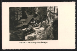 AK Wehlen, Waldgasthaus Im Unterwalder-Grund  - Wehlen