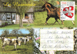 YT 4179 GREFFE COEUR SEUL SUR ENVELOPPE ILLUSTREE LA NORMANDIE LONLAY L'ABBAYE 1/7/2008 POUR AUBIERE PUY DE DOME - Storia Postale