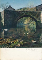 Carte - Photographes - Albert Monier  - Environs D'Issoire - Le Vieux Pont De Saurier - PRIX FIXE - ( Cd066) - Monier