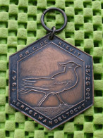 Medaille :  B.W.C. De Kievit. - 25/26 Okt. 1947 Bussum  -  Original Foto  !!  Medallion  Dutch - Altri & Non Classificati