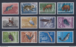 1954 TRIESTE B, N. 101/112, Animali, 12 Valori, MNH** - Sonstige & Ohne Zuordnung