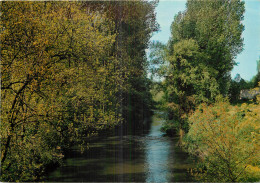 38 - PONT DE CHERUY - Pont-de-Chéruy